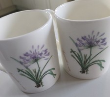 Mugs royal horticultural for sale  NEWTOWNARDS