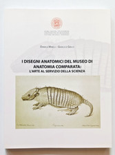 Disegni anatomici del usato  Italia