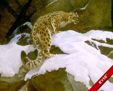 Leopard climing snow for sale  South Jordan