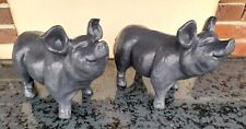 Pair pig garden for sale  SOUTHAMPTON