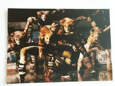 Cats hamburg musical gebraucht kaufen  Chemnitz