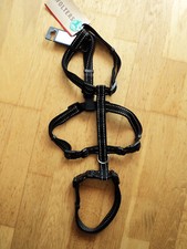hundes gebraucht kaufen hundes gebraucht kaufen Hannover