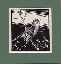 Peter scott nightingale for sale  SPALDING