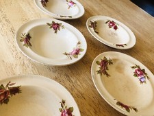 Midwinter bowls bowls for sale  NORWICH