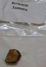 Mineralien steine bernstein gebraucht kaufen  Eschborn
