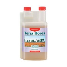 Canna terra flores usato  Roma