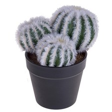 Set cactus artificiale usato  Massa di Somma