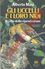 Masi alberto gli usato  Italia