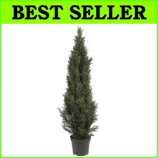 5ft mini cedar for sale  Voorhees