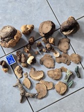 Baumperlen baumperle hexenei gebraucht kaufen  Fehrb.,-Winzeln