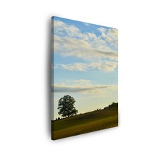 Canvas leinwandbilder wandbild gebraucht kaufen  Großröhrsdorf