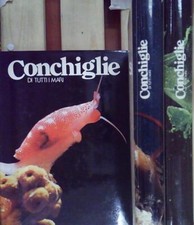 Conchiglie tutti mari usato  Fonte Nuova
