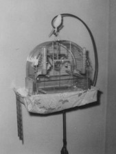 1950s birdcage dome for sale  Mission