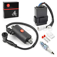 Ignition coil cdi for sale  Florence