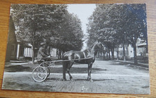 Rppc man horse for sale  Bear Lake