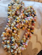 trochus shell for sale trochus shell for sale Clay