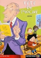 Tête pioche kochka d'occasion  Hennebont