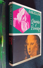 Libro questa firenze usato  Fonte Nuova