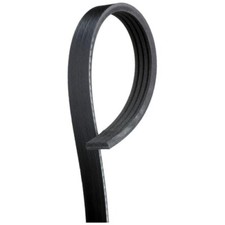 Cinghia poly gates usato  Milano