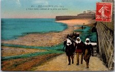 Ile oleron chats d'occasion  France