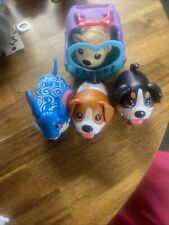 chubby puppies for sale chubby puppies for sale HARLOW