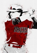 Carroll randy diamondbacks for sale  Greer