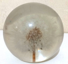 Hafod grange paperweight for sale  MIDDLESBROUGH
