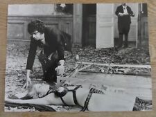 Kult pressefoto punition gebraucht kaufen  Postbauer-Heng