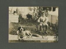 Bicicleta triciclo fofa menino em ferro com cachorro São Bernardo foto antiga comprar usado  Enviando para Brazil
