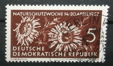 N°3050X SELO REPÚBLICA DEMOCRÁTICA ALEMÃ DDR 1957 CANCELADO AUS comprar usado N°3050X SELO REPÚBLICA DEMOCRÁTICA ALEMÃ DDR 1957 CANCELADO AUS comprar usado  Enviando para Brazil