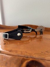 Kelly black shiny for sale  Dayville