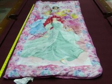 Disney princess sleeping for sale  Cohocton