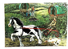 Gypsy horse sulky for sale  UK