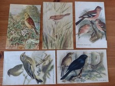 Bird postcards roland for sale  POTTERS BAR