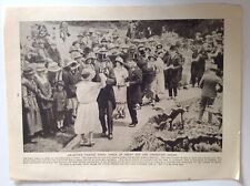 Helston famous furry for sale  UK