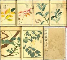 1920 honzo zufu d'occasion 1920 honzo zufu d'occasion  Expédié en France