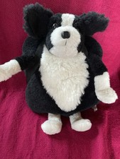 Babe border collie for sale  KETTERING
