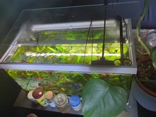 Aquarium komplett set gebraucht kaufen  Freiberg am Neckar
