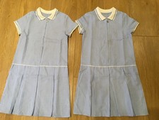 Girl blue gingham for sale  WATERLOOVILLE