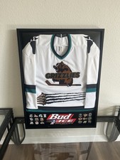 Vintage ihl jersey for sale  Phoenix