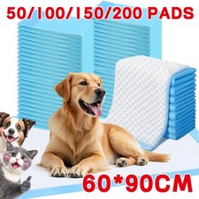 200 large puppy for sale  WORCESTER