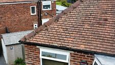 5000 red rosemary for sale  CHEADLE