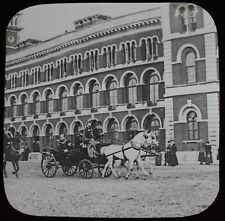 Queen victoria horse for sale  HAYLE