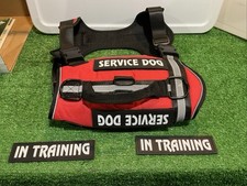 Black red dog for sale  Milford