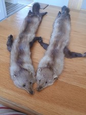 Genuine two full for sale  POOLE