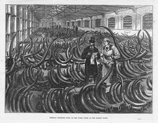 London docks siberian for sale  GLASGOW