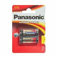 Panasonic batteria litio usato  Italia