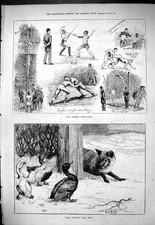 Old 1880 german for sale  UK