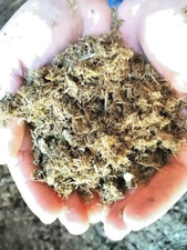 Pferdedung vom pferdehof gebraucht kaufen  Stinstedt