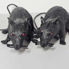 Lot black rat for sale  Salem
